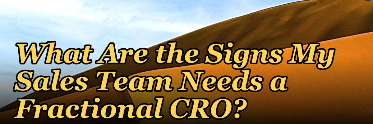 What Are the Signs My Sales Team Needs a Fractional CRO?