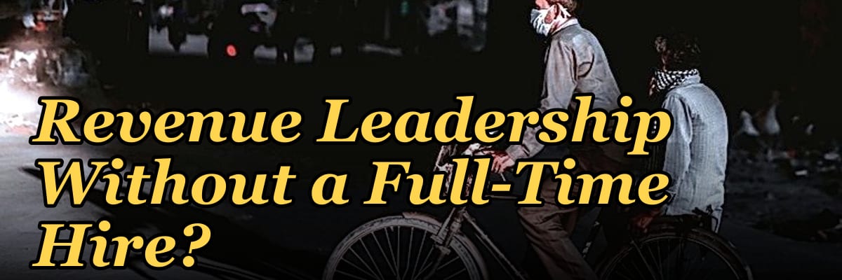 How Do I Get Affordable Revenue Leadership Without a Full-Time Hire?