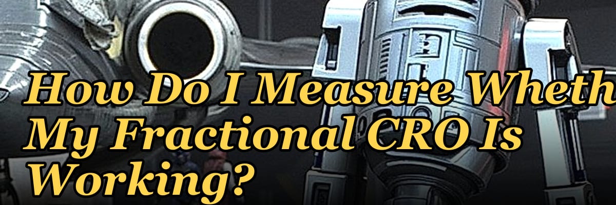 How Do I Measure Whether My Fractional CRO Is Working?