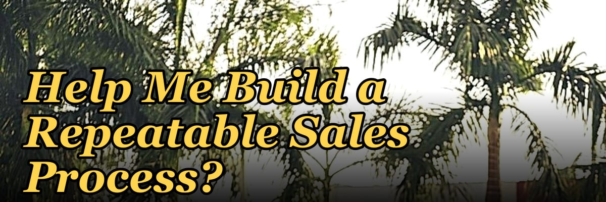 Can a Fractional CRO Help Me Build a Repeatable Sales Process?