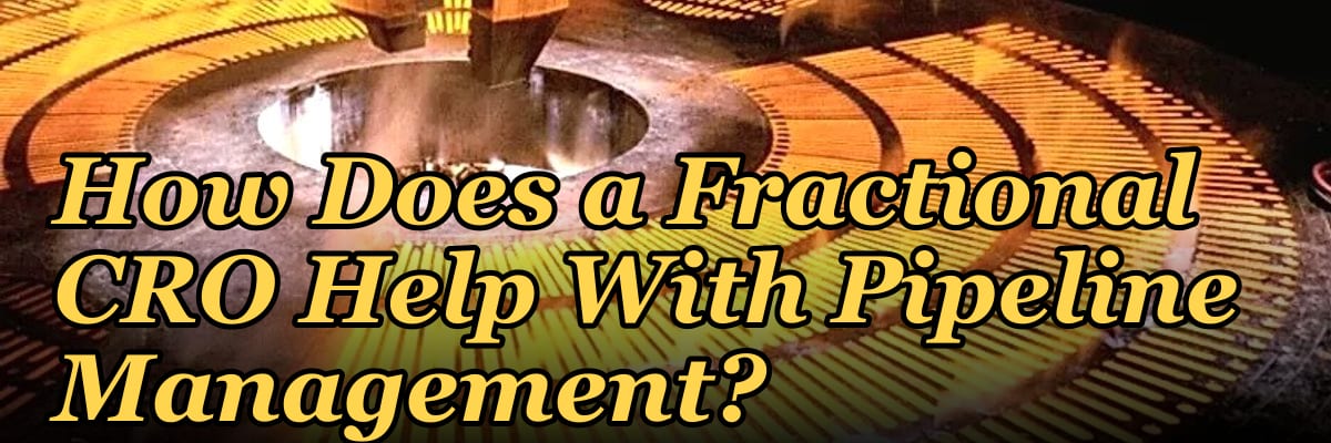 How Does a Fractional CRO Help With Pipeline Management?