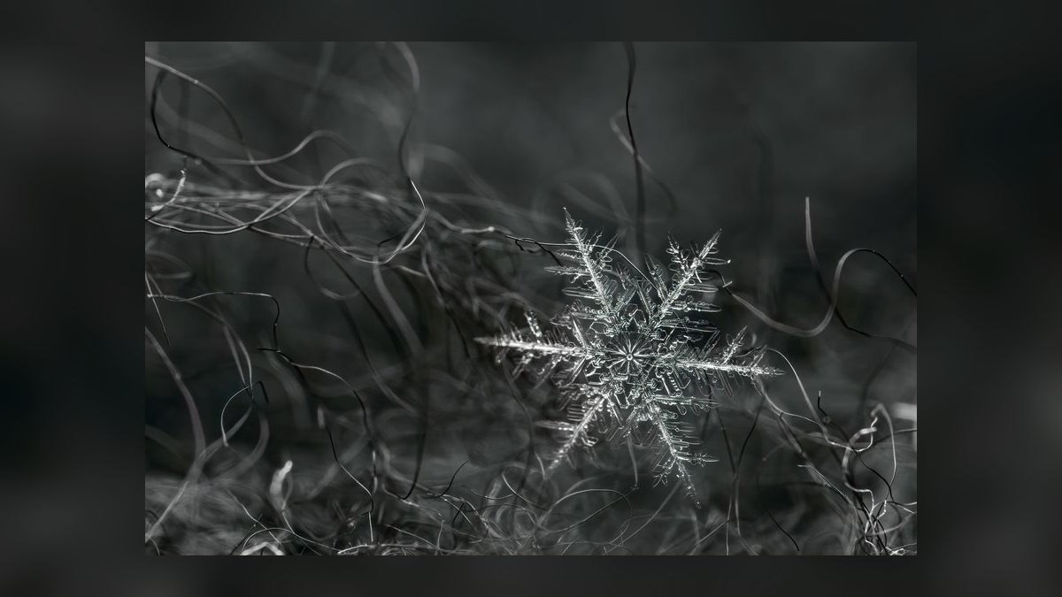Is Cortex AI working for Snowflake — figure 7