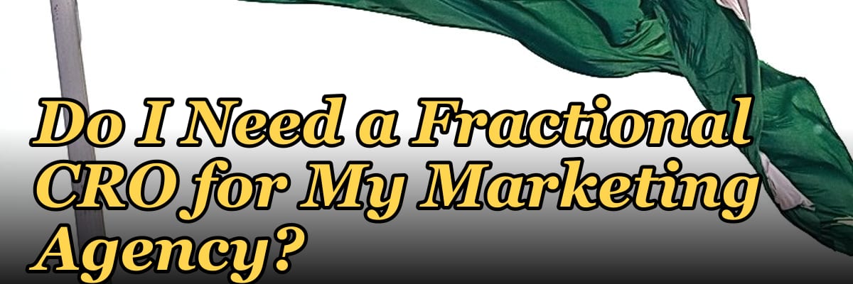 Do I Need a Fractional CRO for My Marketing Agency?