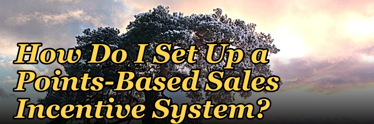 How Do I Set Up a Points-Based Sales Incentive System?