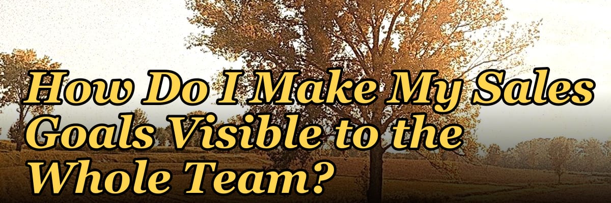 How Do I Make My Sales Goals Visible to the Whole Team?