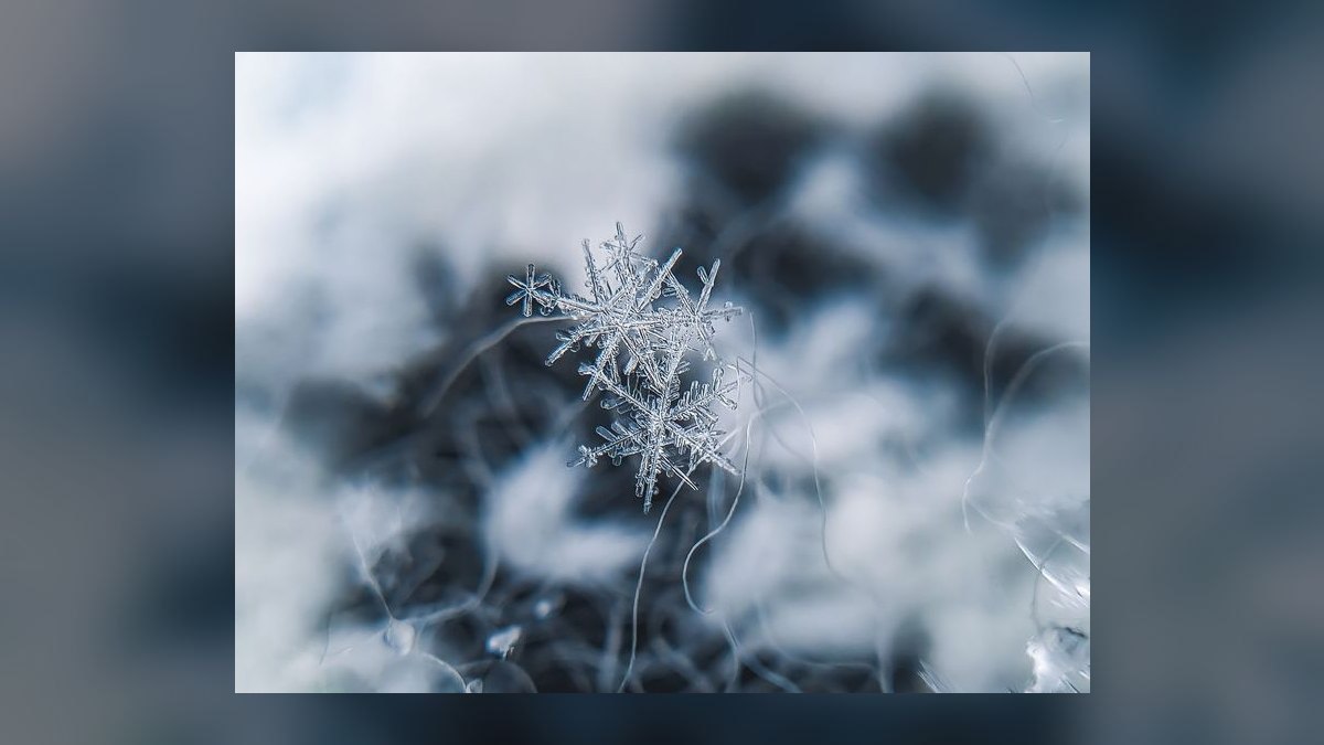 Snowflake vs Databricks — which should you buy — figure 9