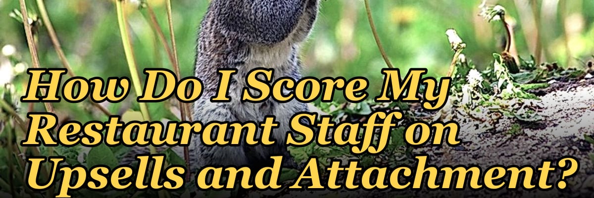 How Do I Score My Restaurant Staff on Upsells and Attachment?