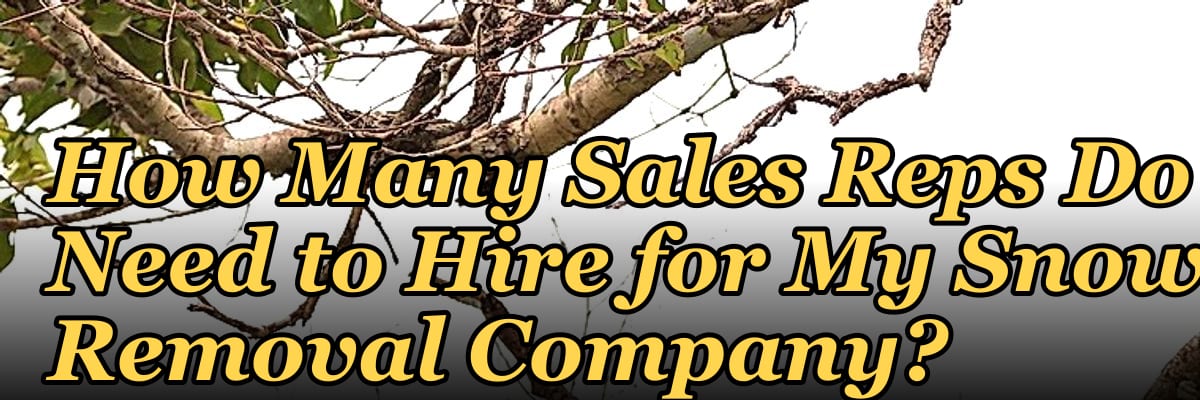 How Many Sales Reps Do I Need to Hire for My Snow Removal Company?