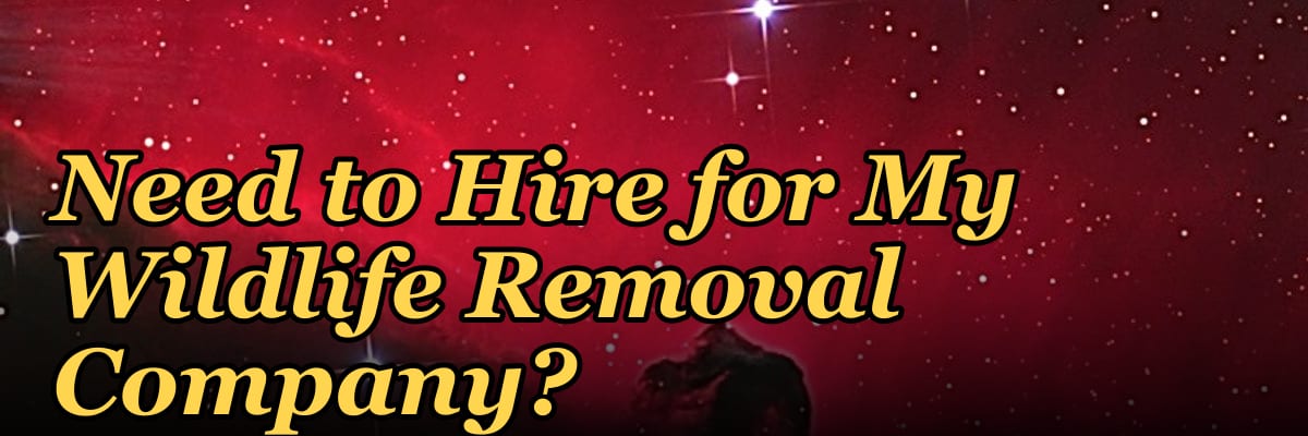 How Many Sales Reps Do I Need to Hire for My Wildlife Removal Company?