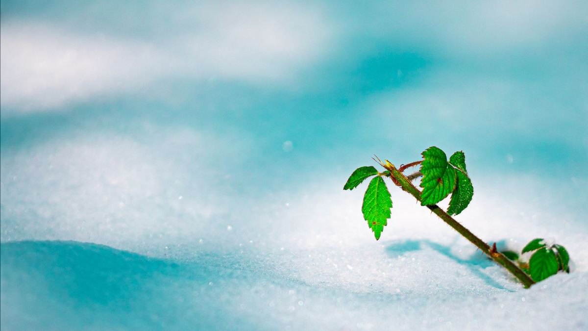Will Snowflake survive the AWS Redshift + Microsoft Fabric squeeze through 2027 — figure 2