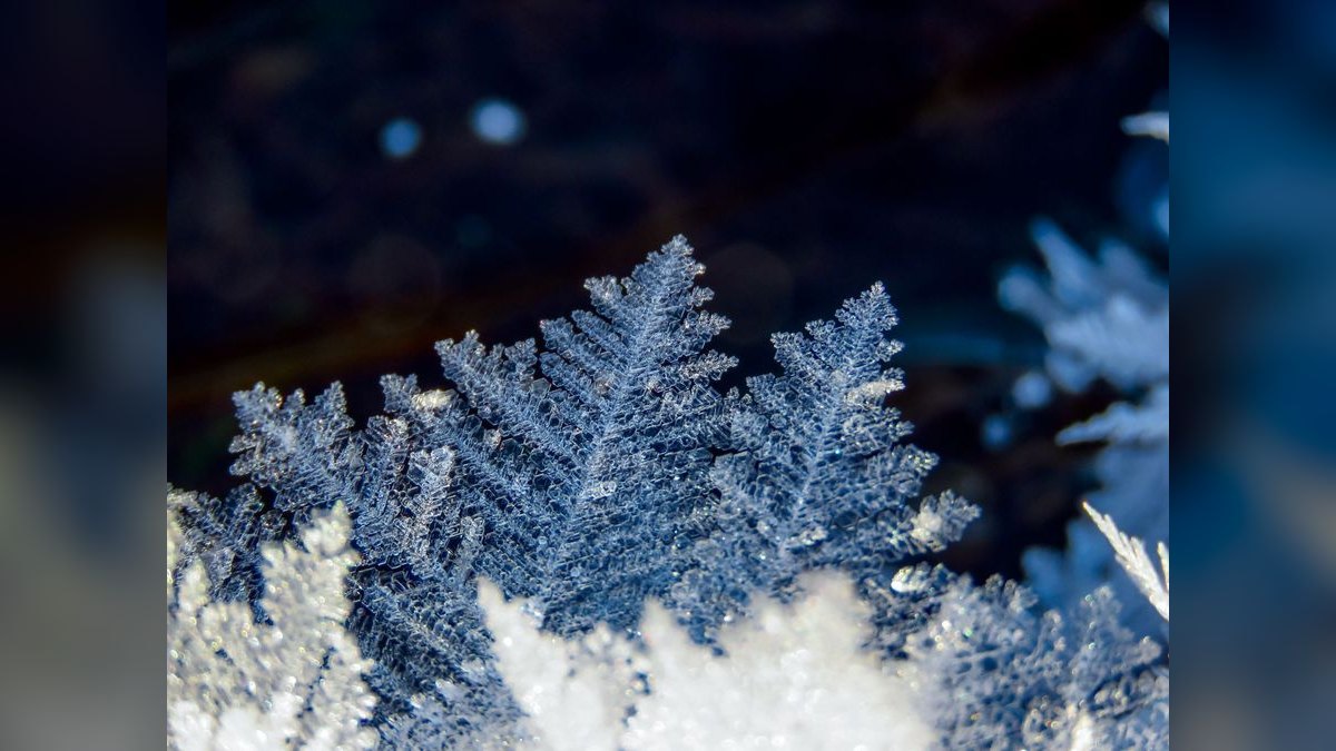 Will Snowflake survive the AWS Redshift + Microsoft Fabric squeeze through 2027 — figure 5