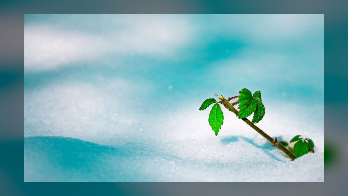 Will Snowflake survive the AWS Redshift + Microsoft Fabric squeeze through 2027 — figure 9