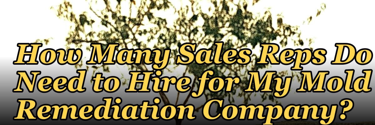 How Many Sales Reps Do I Need to Hire for My Mold Remediation Company?