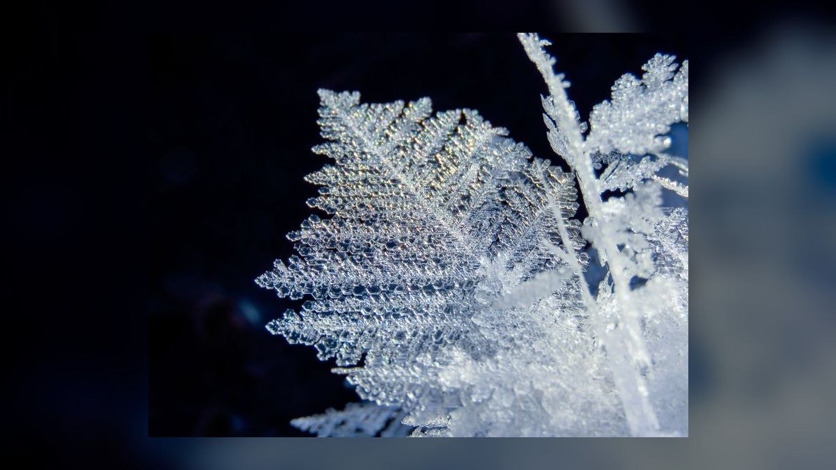 What is Snowflake developer-platform strategy through 2027 — figure 8