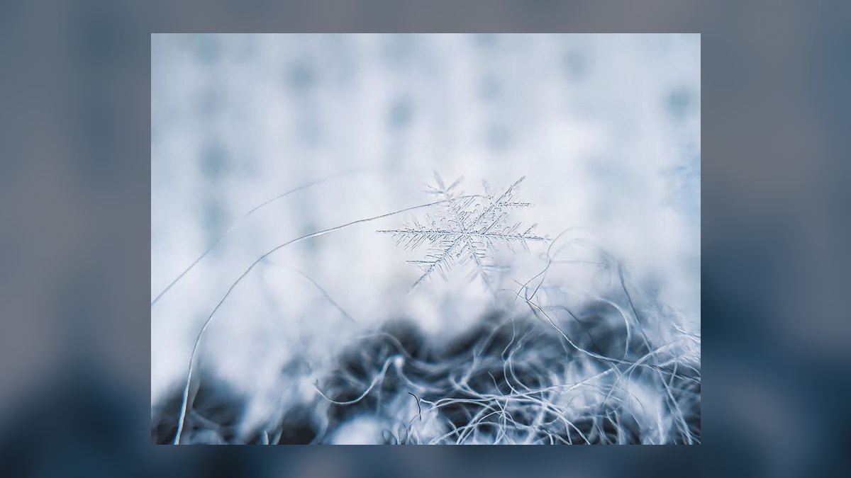What is Snowflake developer-platform strategy through 2027 — figure 9