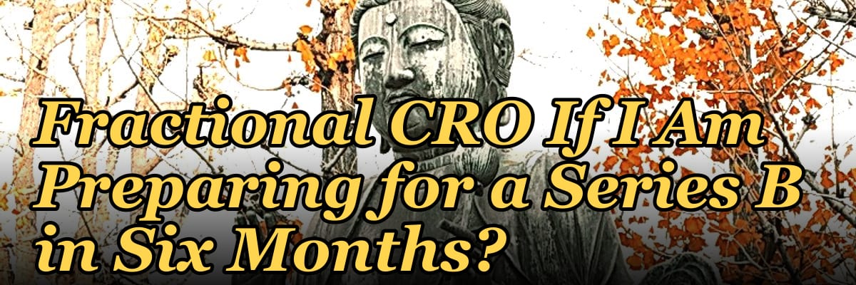 Should I Hire a Fractional CRO If I Am Preparing for a Series B in Six Months?