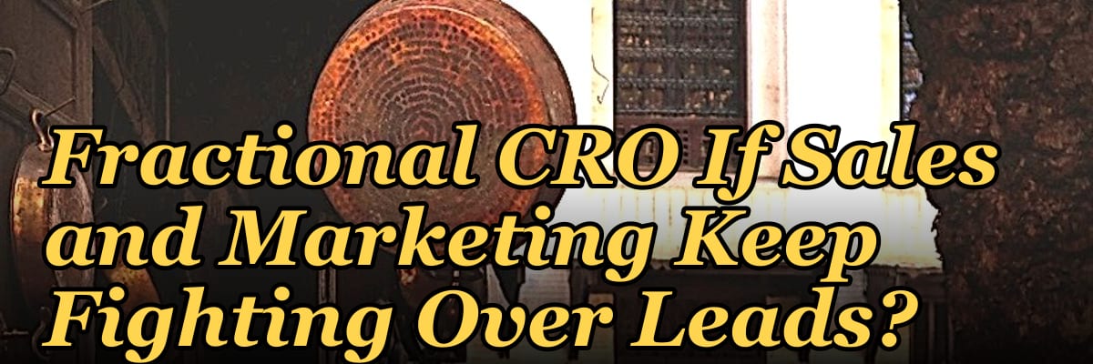 Should I Hire a Fractional CRO If Sales and Marketing Keep Fighting Over Leads?