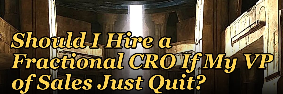 Should I Hire a Fractional CRO If My VP of Sales Just Quit?