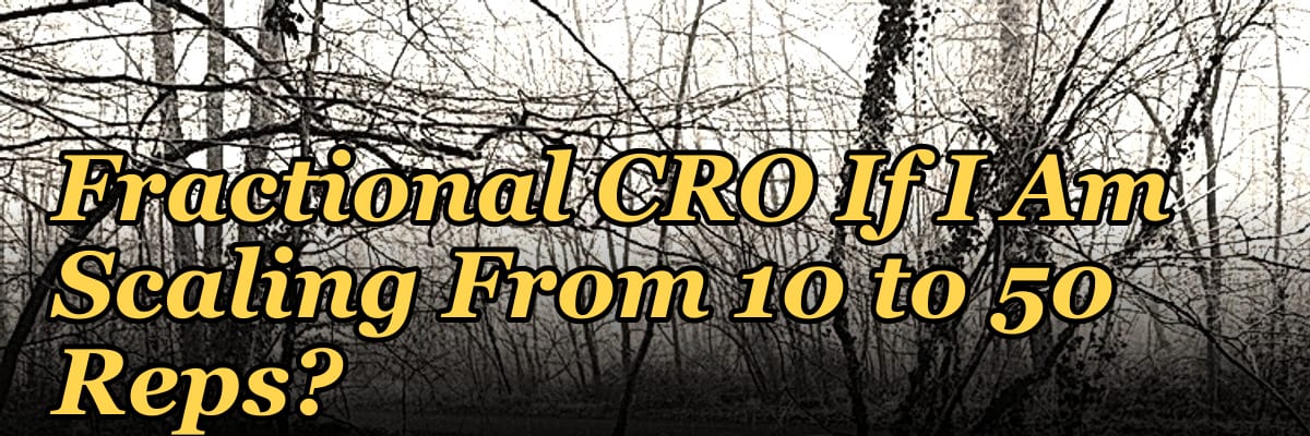Should I Hire a Fractional CRO If I Am Scaling From 10 to 50 Reps?