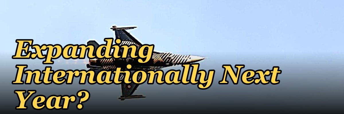 Should I Hire a Fractional CRO If I Am Expanding Internationally Next Year?