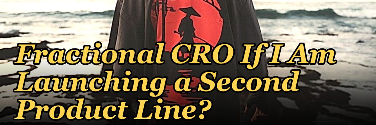 Should I Hire a Fractional CRO If I Am Launching a Second Product Line?