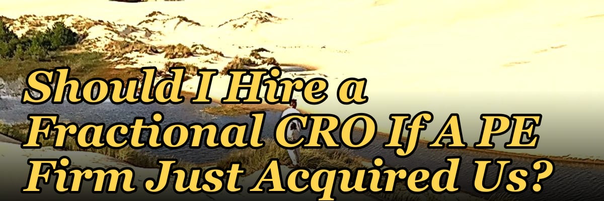 Should I Hire a Fractional CRO If A PE Firm Just Acquired Us?