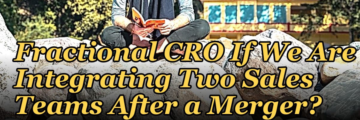 Should I Hire a Fractional CRO If We Are Integrating Two Sales Teams After a Merger?
