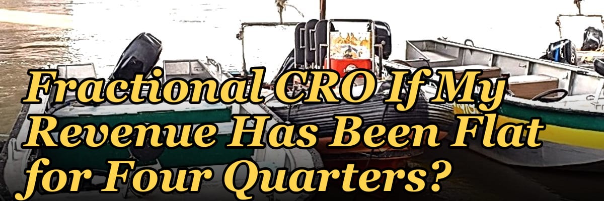 Should I Hire a Fractional CRO If My Revenue Has Been Flat for Four Quarters?