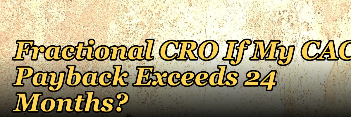 Should I Hire a Fractional CRO If My CAC Payback Exceeds 24 Months?