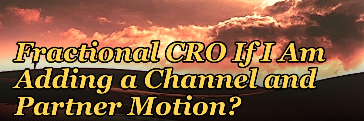 Should I Hire a Fractional CRO If I Am Adding a Channel and Partner Motion?