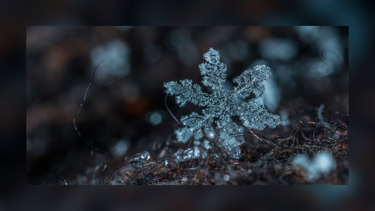 How does Snowflake retain top sales talent in 2027 — figure 7