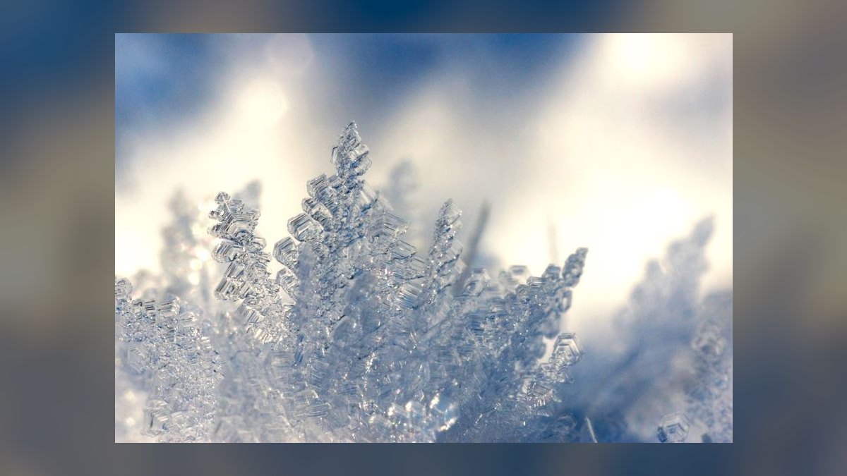 How does Snowflake retain top sales talent in 2027 — figure 8
