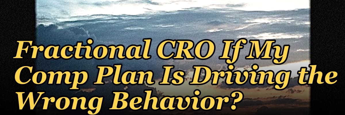 Should I Hire a Fractional CRO If My Comp Plan Is Driving the Wrong Behavior?