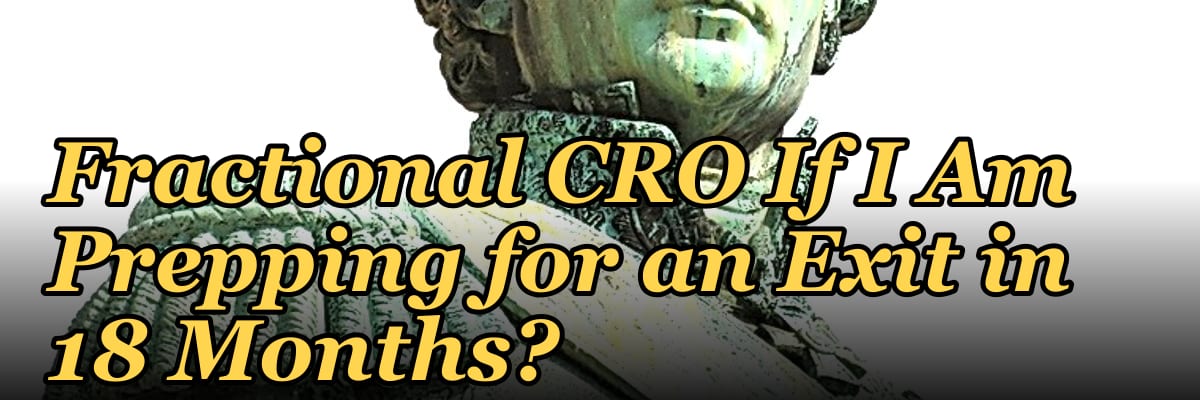 Should I Hire a Fractional CRO If I Am Prepping for an Exit in 18 Months?