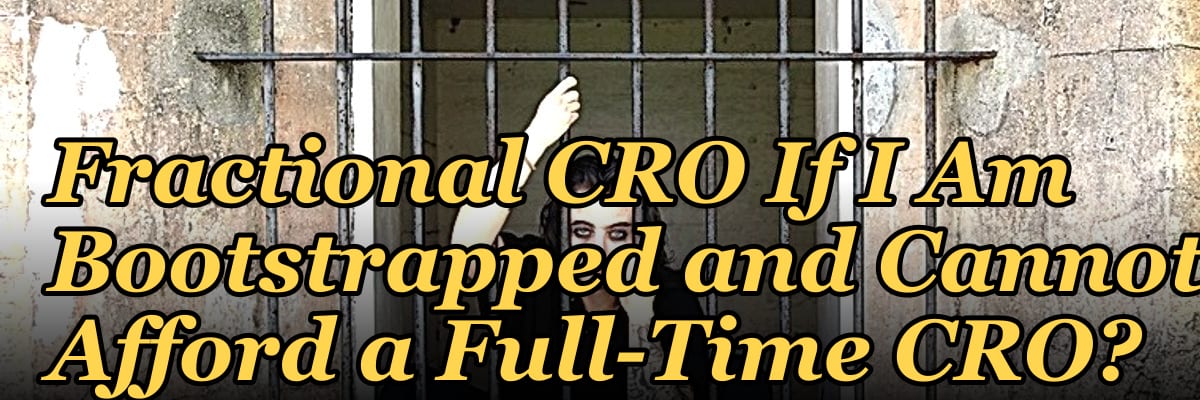 Should I Hire a Fractional CRO If I Am Bootstrapped and Cannot Afford a Full-Time CRO?
