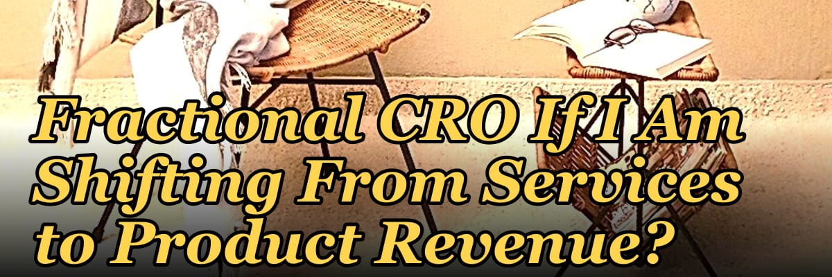 Should I Hire a Fractional CRO If I Am Shifting From Services to Product Revenue?