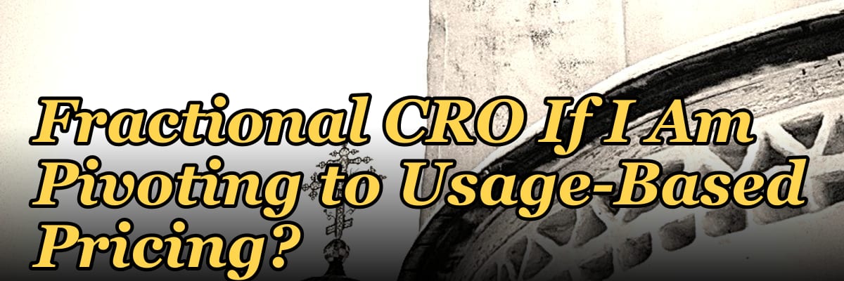 Should I Hire a Fractional CRO If I Am Pivoting to Usage-Based Pricing?