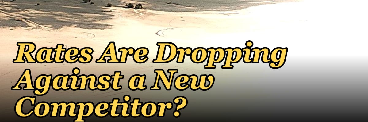 Should I Hire a Fractional CRO If My Win Rates Are Dropping Against a New Competitor?
