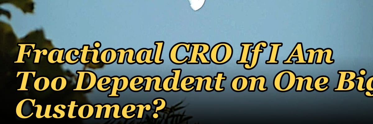 Should I Hire a Fractional CRO If I Am Too Dependent on One Big Customer?