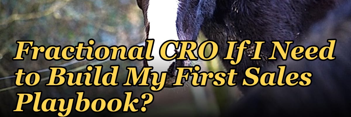 Should I Hire a Fractional CRO If I Need to Build My First Sales Playbook?