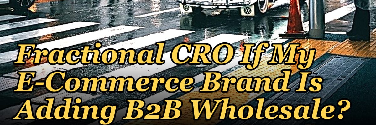 Should I Hire a Fractional CRO If My E-Commerce Brand Is Adding B2B Wholesale?
