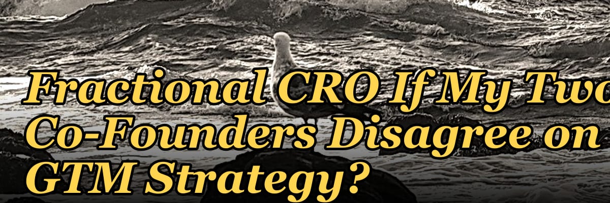 Should I Hire a Fractional CRO If My Two Co-Founders Disagree on GTM Strategy?