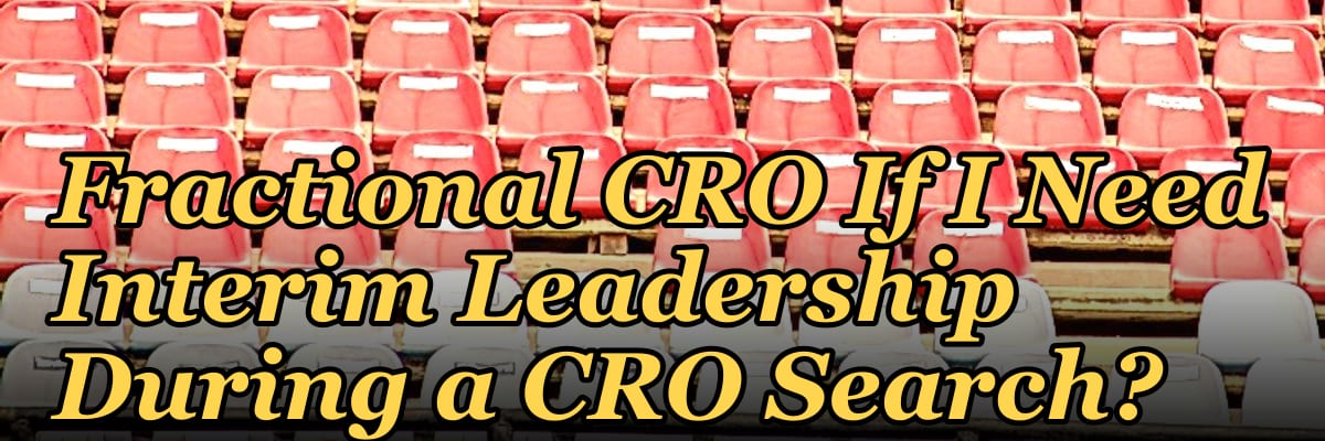 Should I Hire a Fractional CRO If I Need Interim Leadership During a CRO Search?