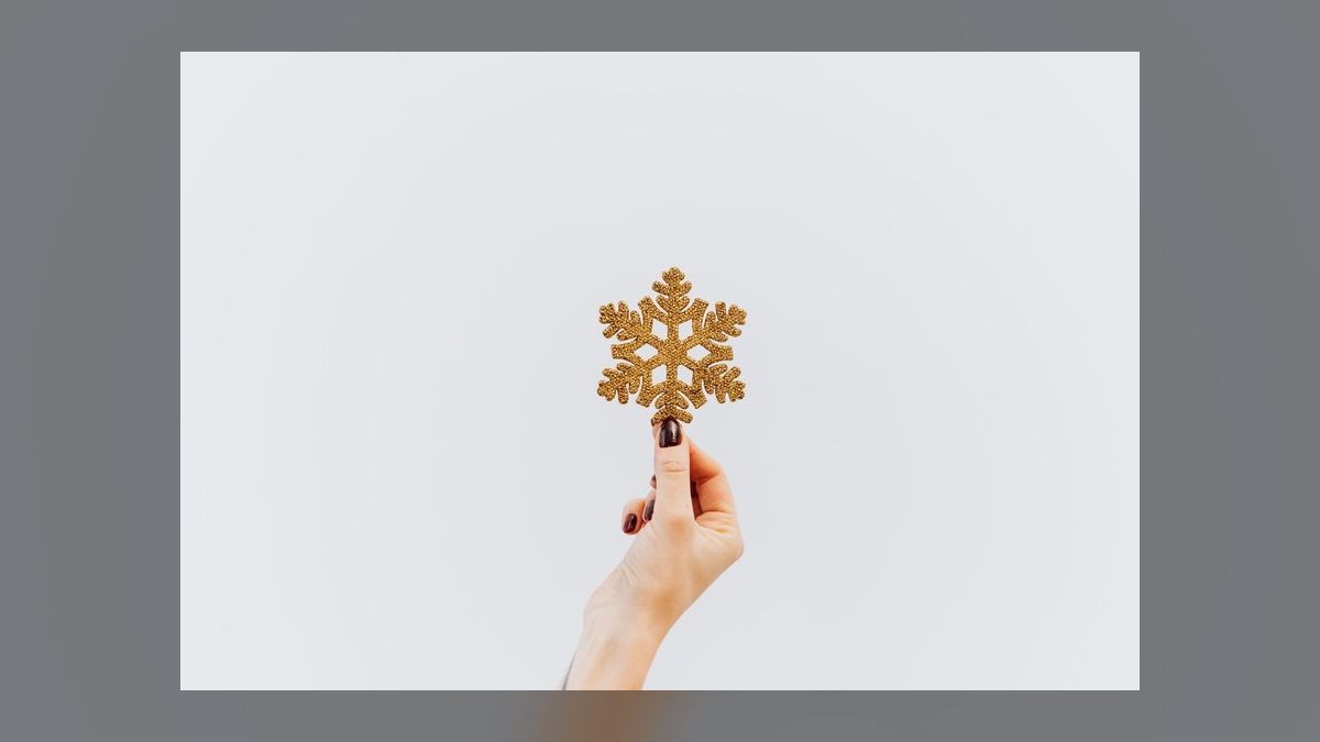 Should Snowflake launch a vertical-data sub-brand in 2027 — figure 6