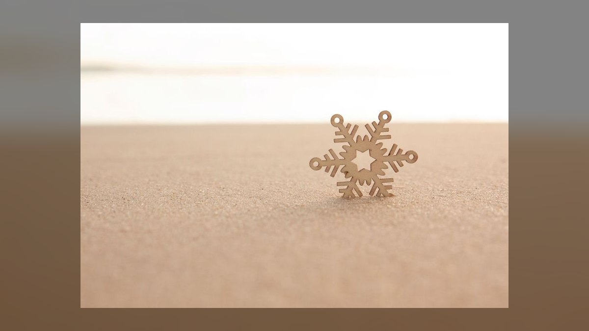 Should Snowflake launch a vertical-data sub-brand in 2027 — figure 8