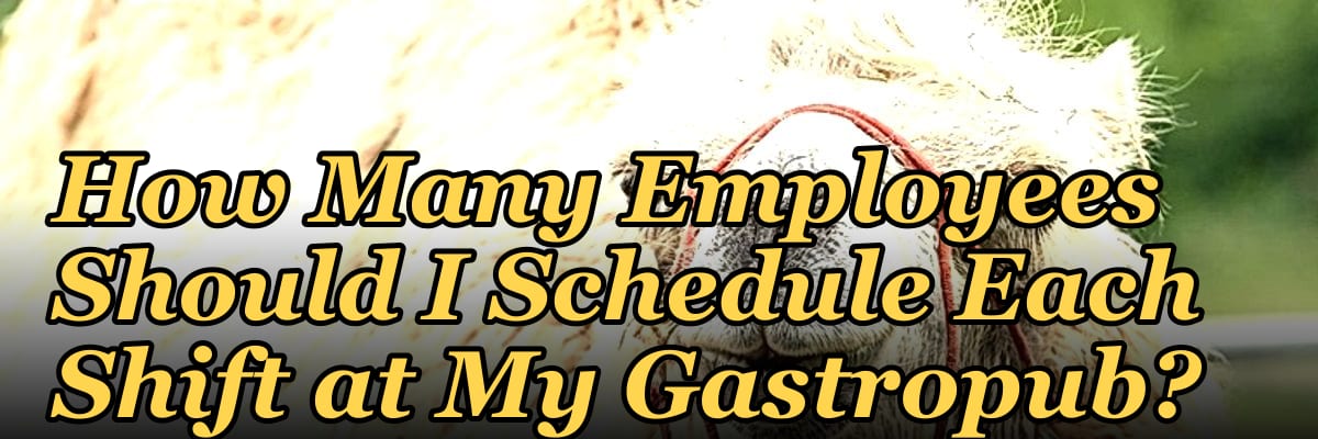 How Many Employees Should I Schedule Each Shift at My Gastropub?