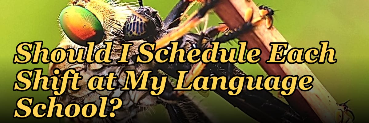 How Many Employees Should I Schedule Each Shift at My Language School?