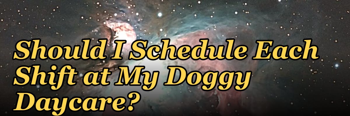 How Many Employees Should I Schedule Each Shift at My Doggy Daycare?