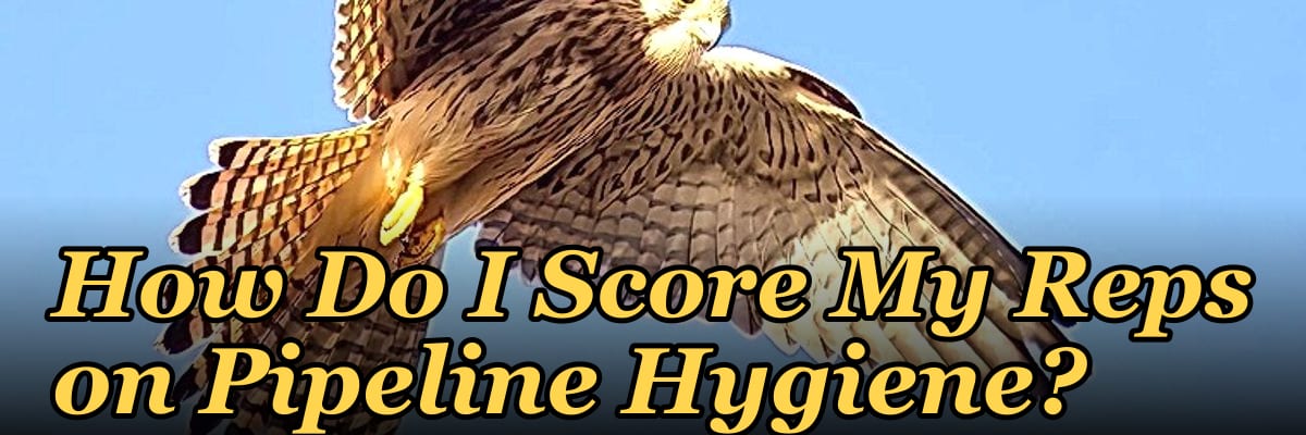 How Do I Score My Reps on Pipeline Hygiene?