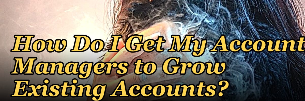 How Do I Get My Account Managers to Grow Existing Accounts?